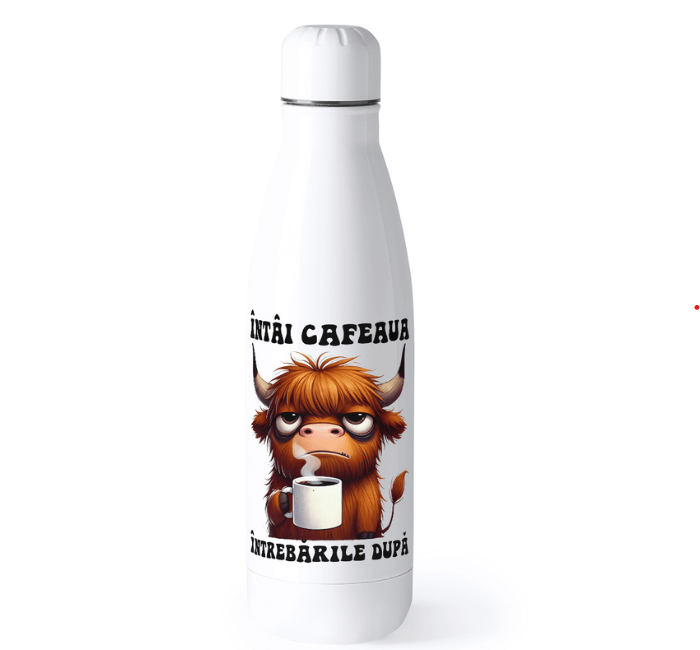 Bidon termic iubitori de cafea Intai cafeaua intrebarile dupa termos