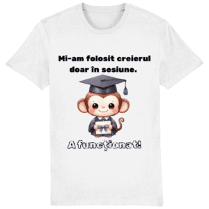 Tricou unisex „Mi-am folosit creierul doar in sesiune”